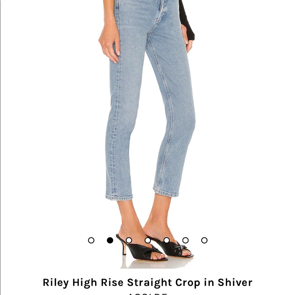 Agolde Riley High Rise Straight Crop in Shiver
